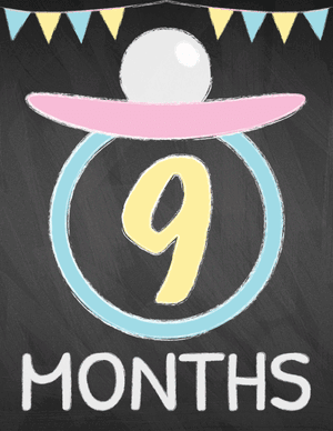 9 Months Old Chalkboard Baby Milestone Sign