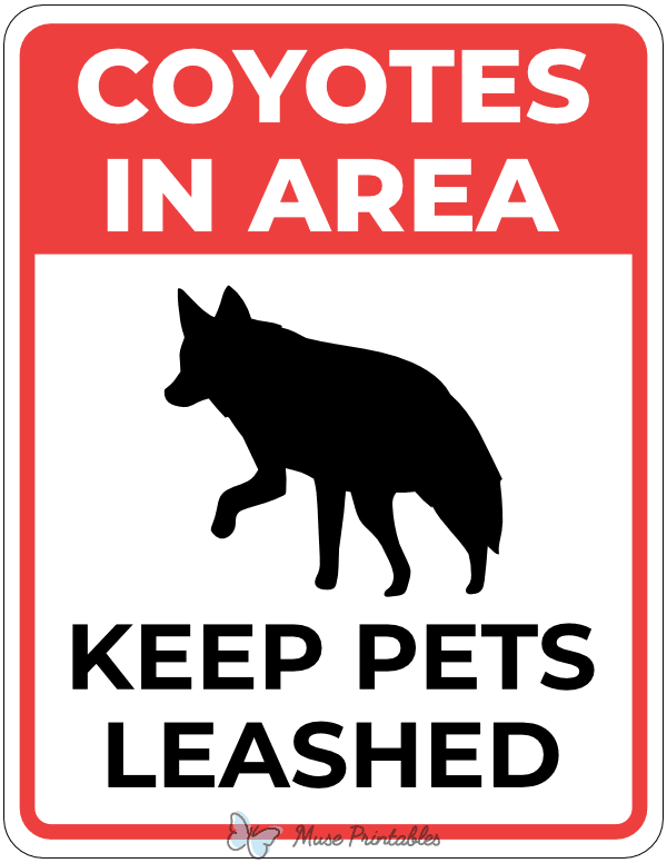 Coyotes in Area Keep Pets Leashed Sign