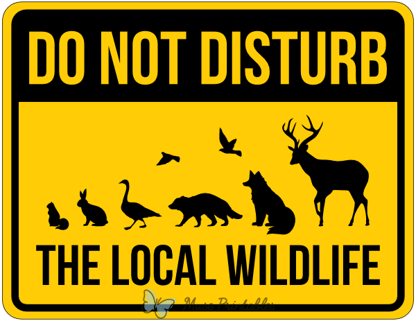 Do Not Disturb the Local Wildlife Sign
