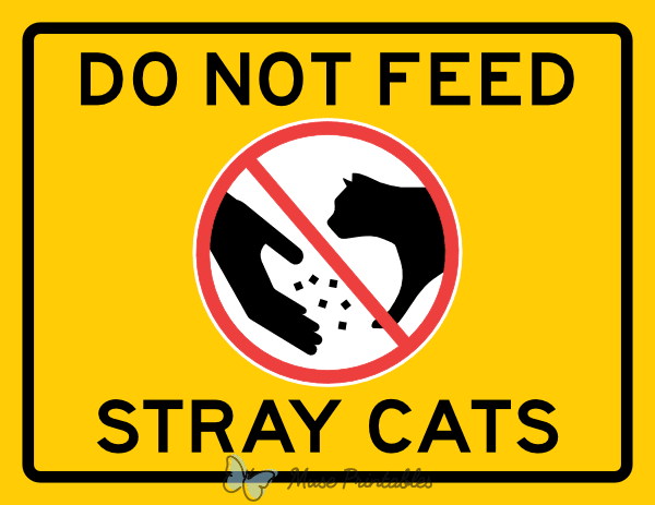 Do Not Feed Stray Cats Sign