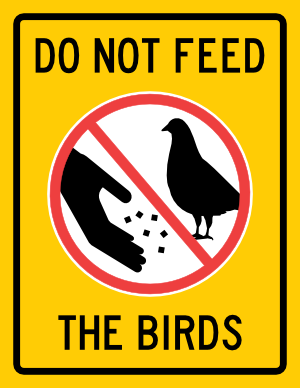 Do Not Feed the Birds Sign