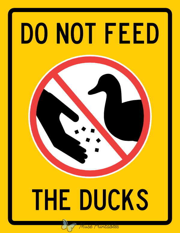 Do Not Feed the Ducks Sign