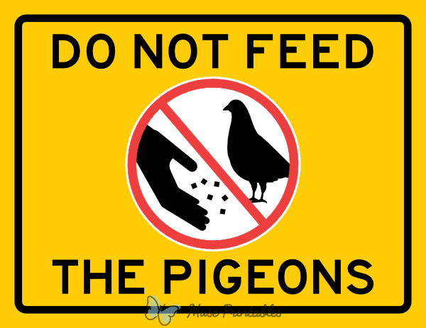 Do Not Feed the Pigeons Sign