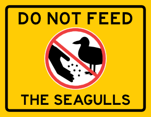 Do Not Feed the Seagulls Sign