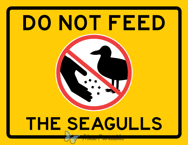 Do Not Feed the Seagulls Sign