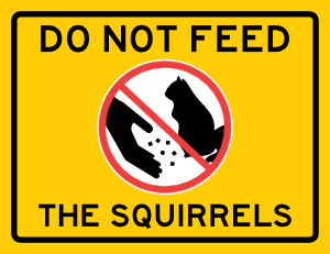 Do Not Feed the Squirrels Sign