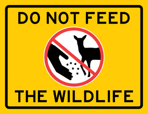 Do Not Feed the Wildlife Sign
