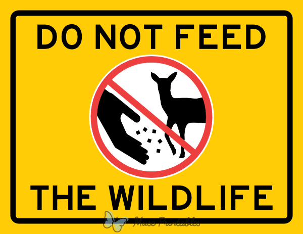 Do Not Feed the Wildlife Sign
