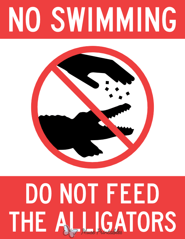 No Swimming Do Not Feed the Alligators Sign
