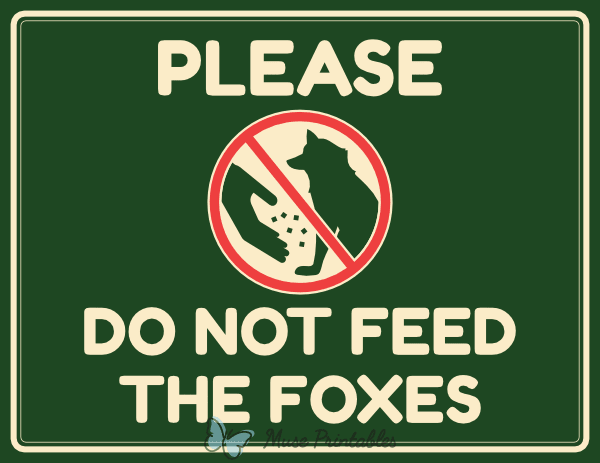 Please Do Not Feed the Foxes Sign