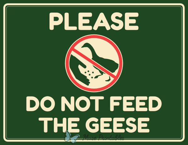 Please Do Not Feed the Geese Sign