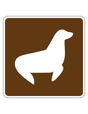 Seal Viewing Campground Sign