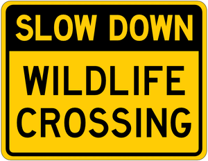Slow Down Wildlife Crossing Sign