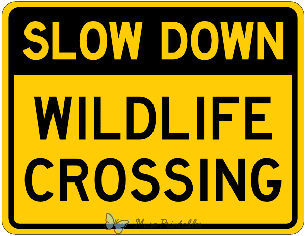 Slow Down Wildlife Crossing Sign
