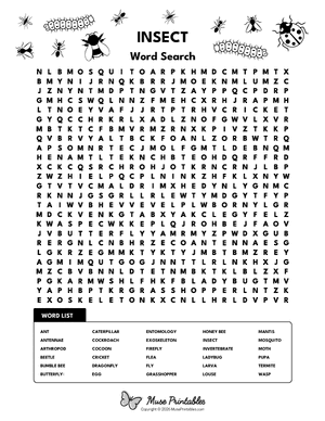 Insect Word Search